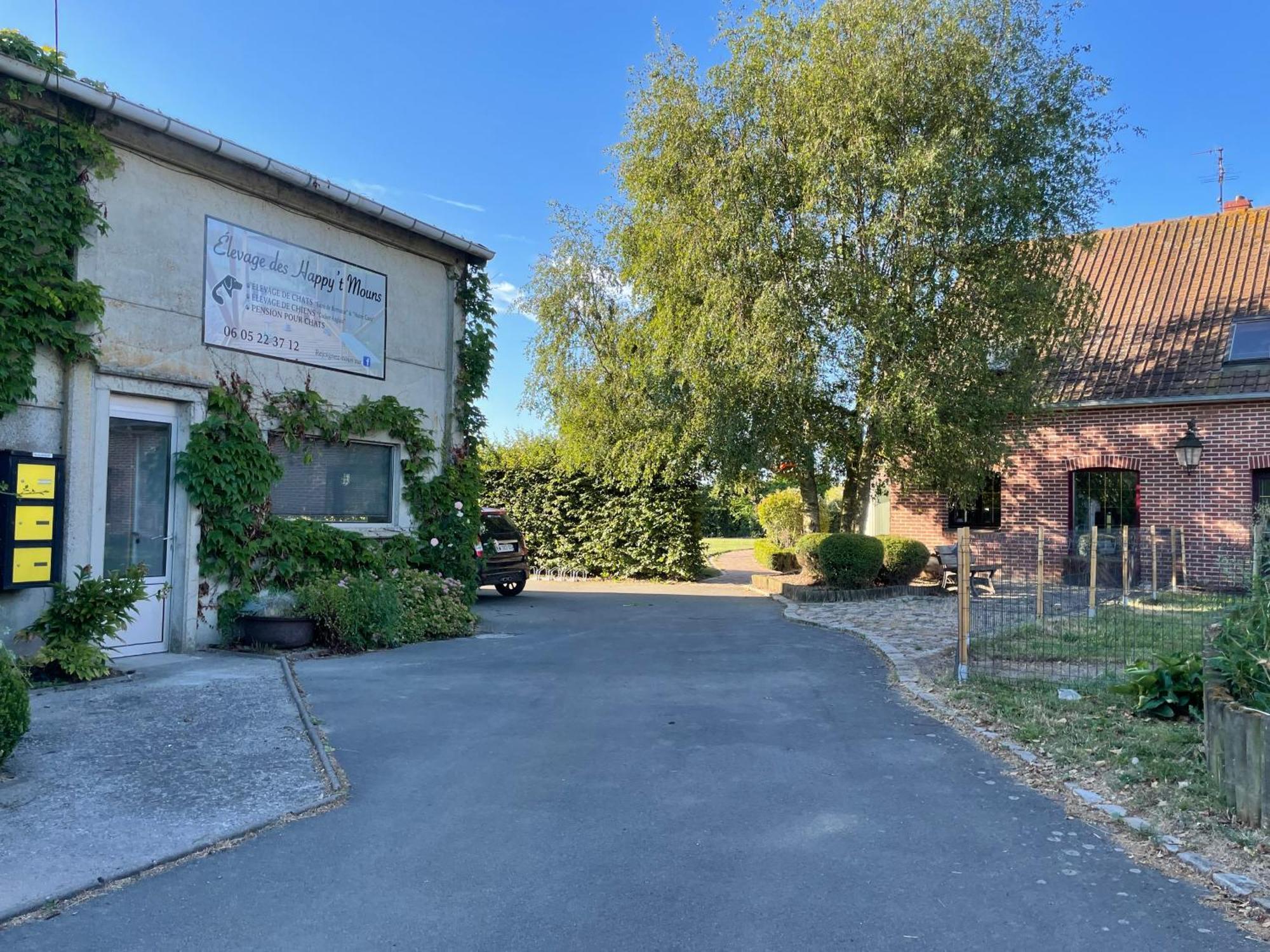 La Ferme Du Paradis Merris Exterior photo