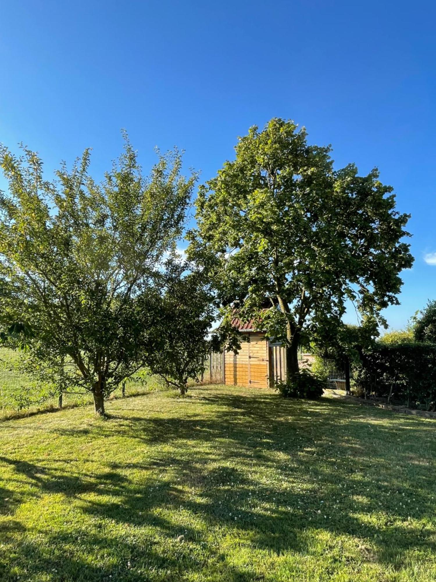 La Ferme Du Paradis Merris Exterior photo